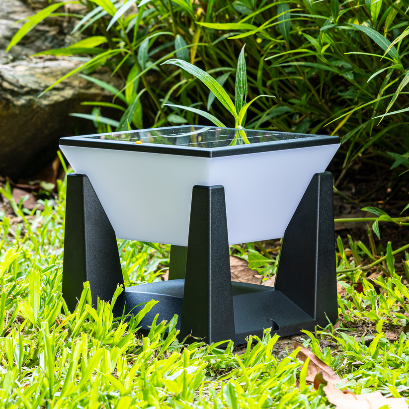Premium IP65 Waterproof Solar Garden Wall Light