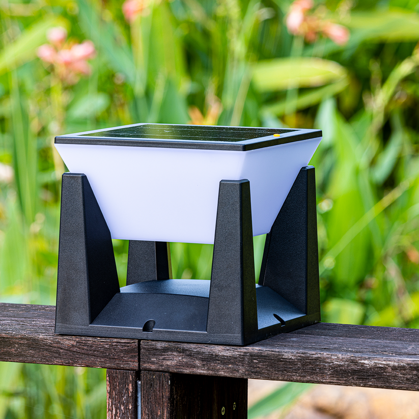 Premium IP65 Waterproof Solar Garden Wall Light