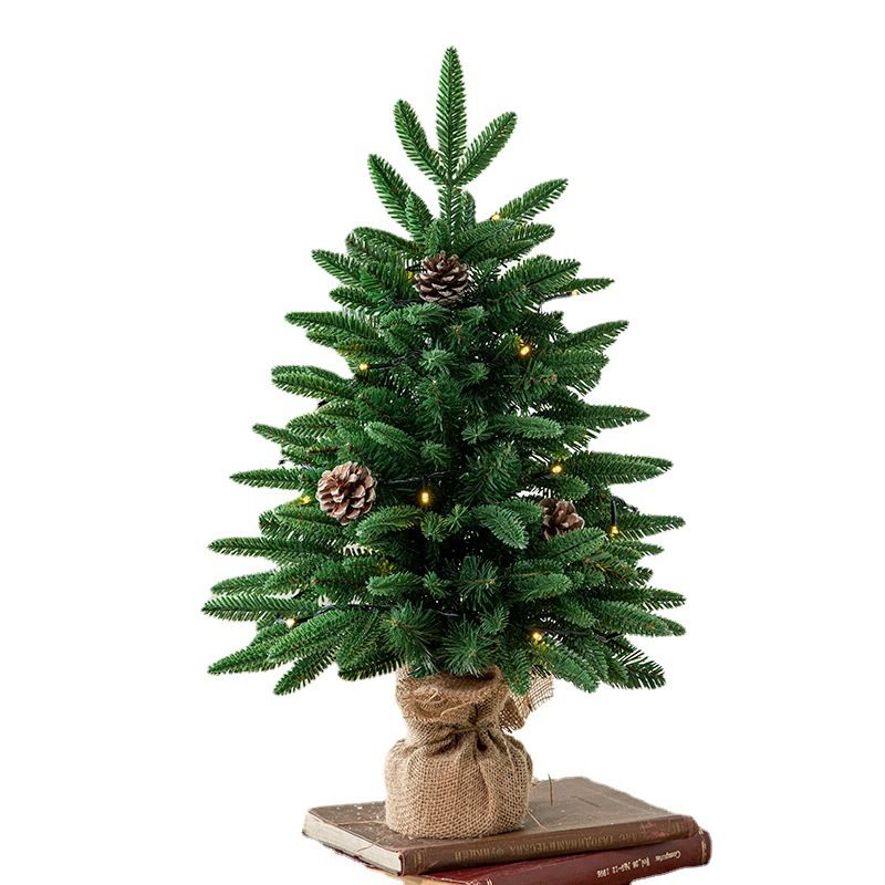 Snowy Pre-Lit Outdoor Christmas Tree