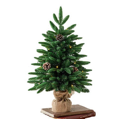 Snowy Pre-Lit Outdoor Christmas Tree