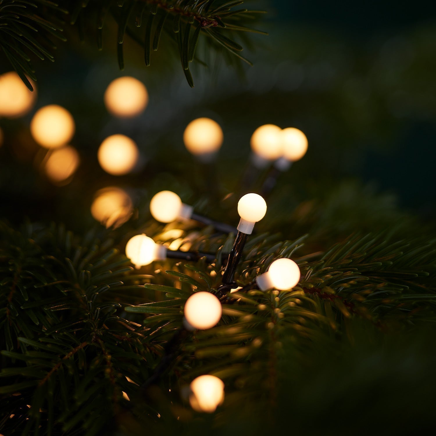 White Berry LED Christmas Tree Lights