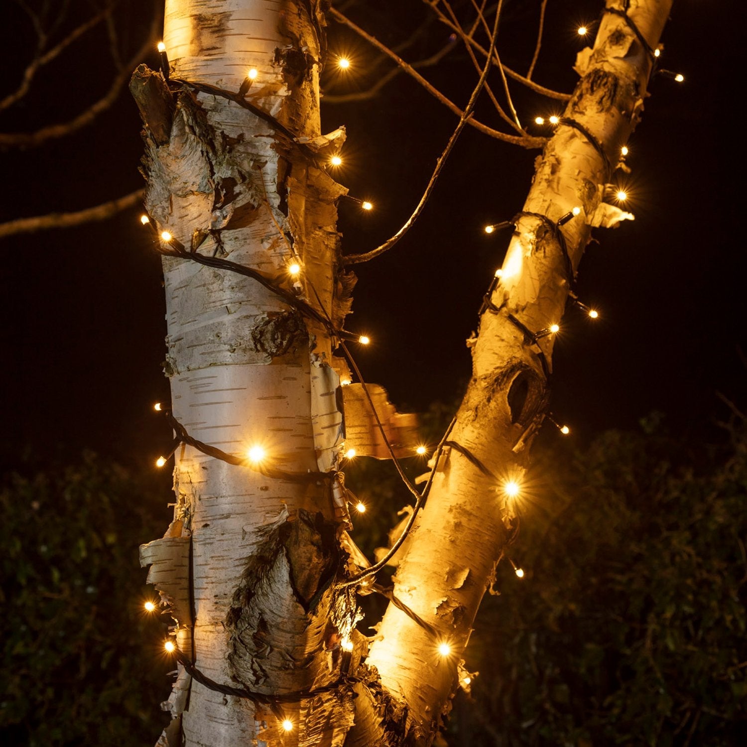 100m 1000 Warm White Outdoor String Lights