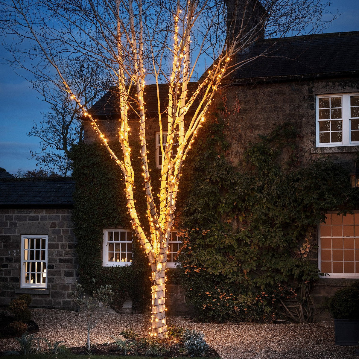 100m 1000 Warm White Outdoor String Lights